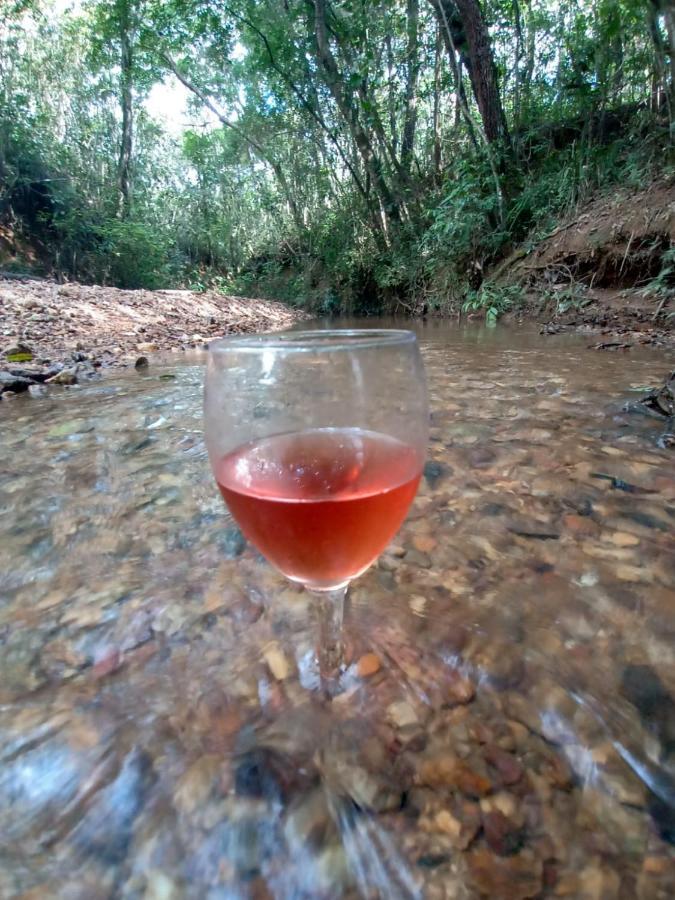 Chalé aconchegante, pertinho da cidade e conectada a natureza Brasilia Exterior foto